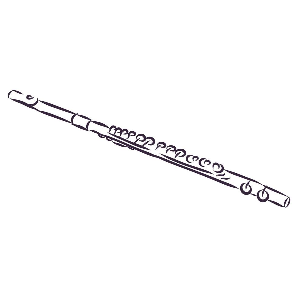 flute vector sketch