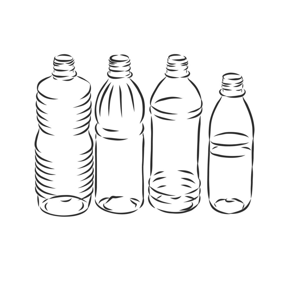 bottle vector sketch