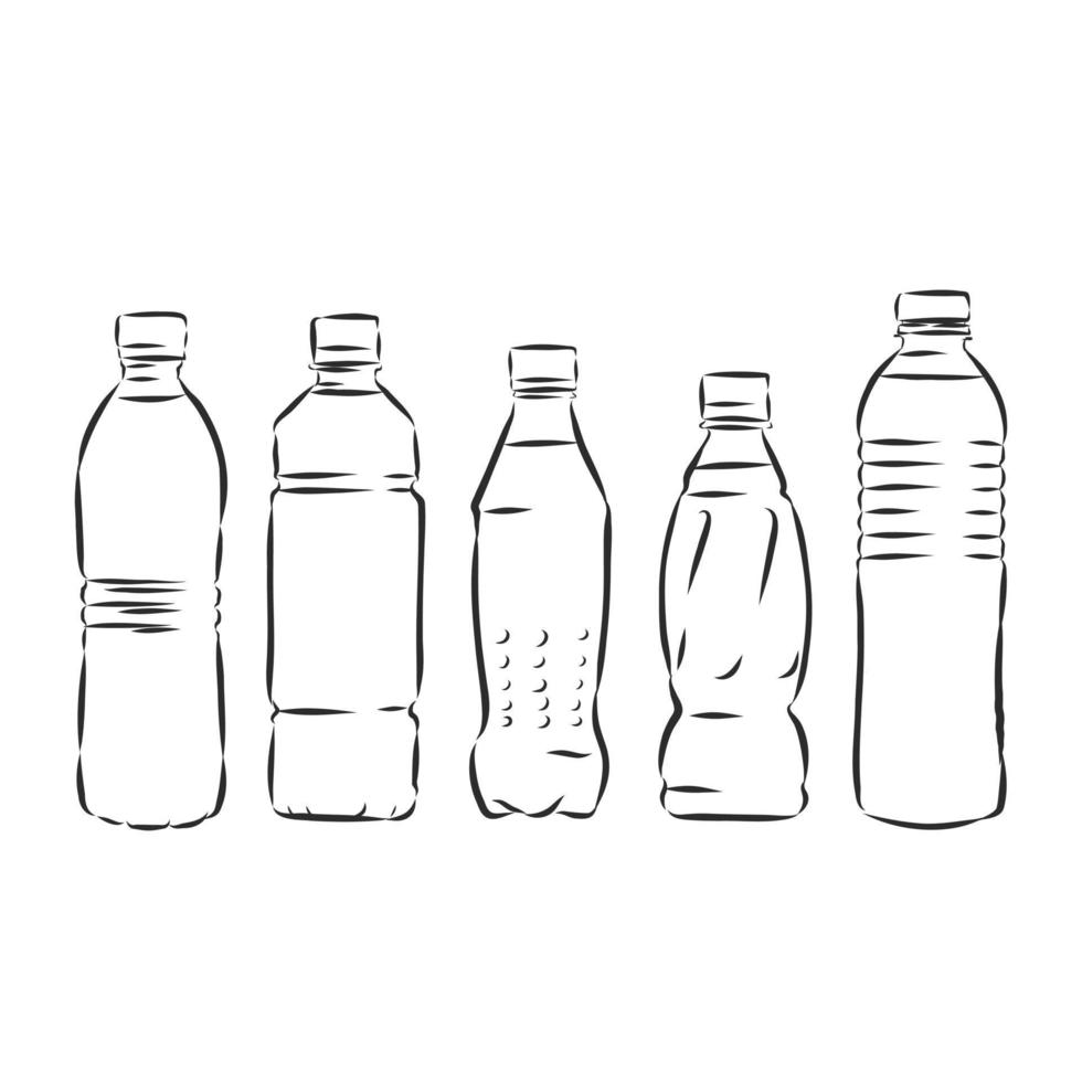 bottle vector sketch