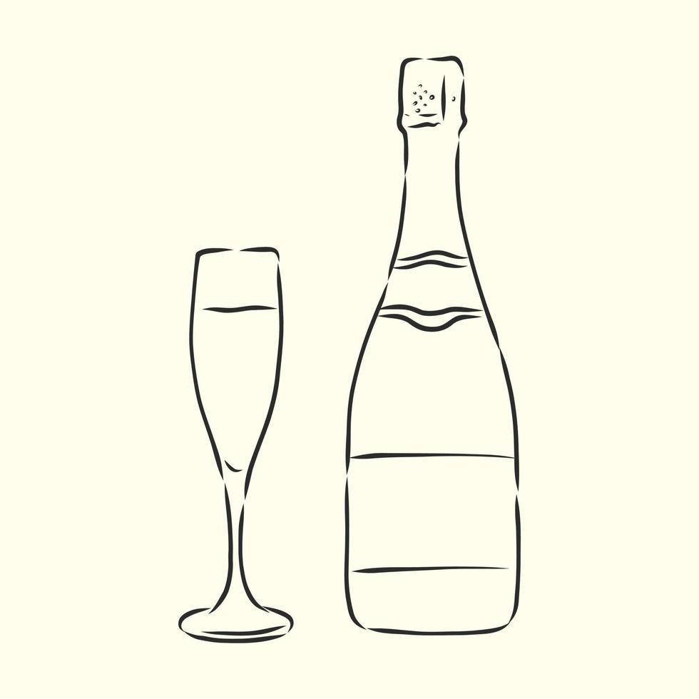 champagne vector sketch