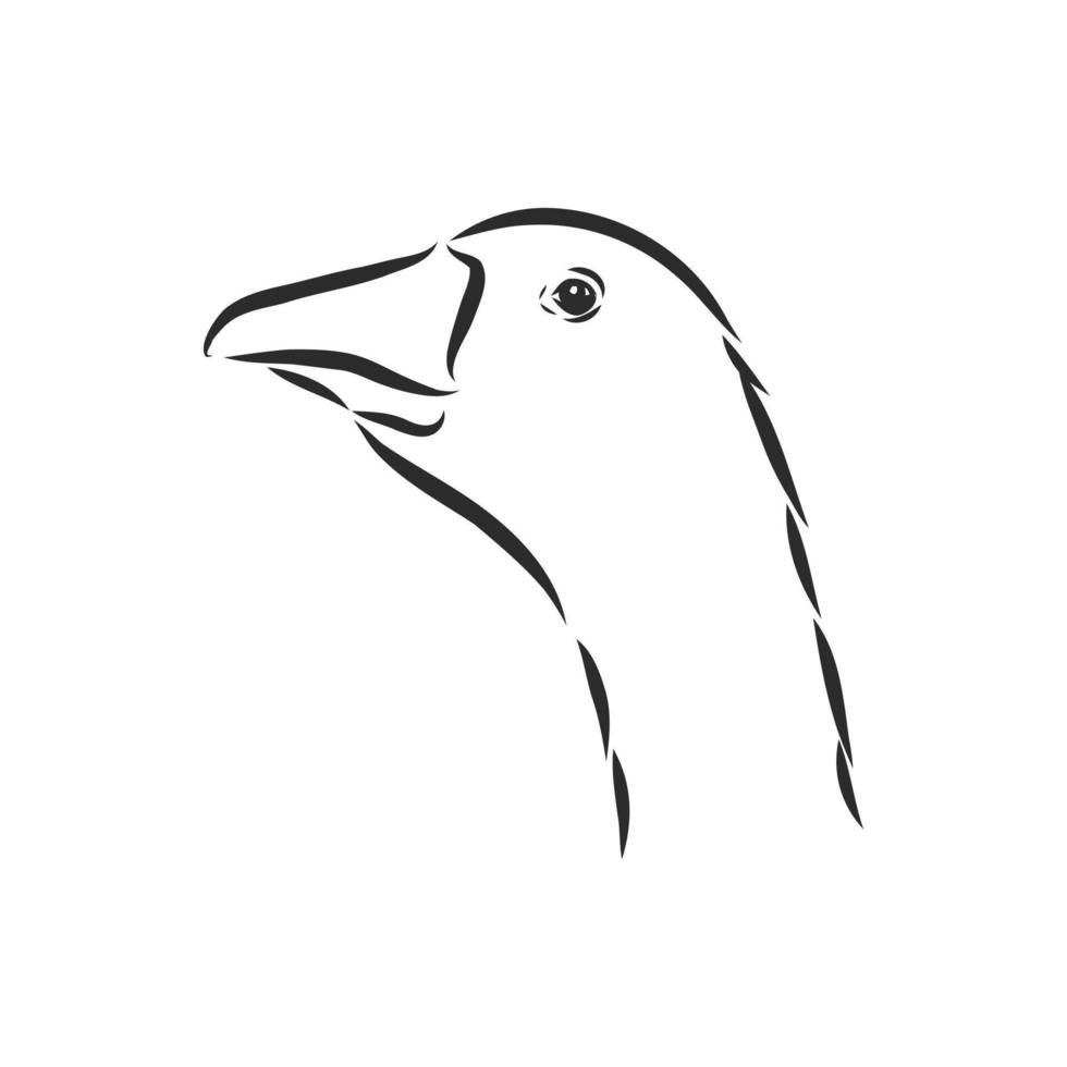 goose vector sketch