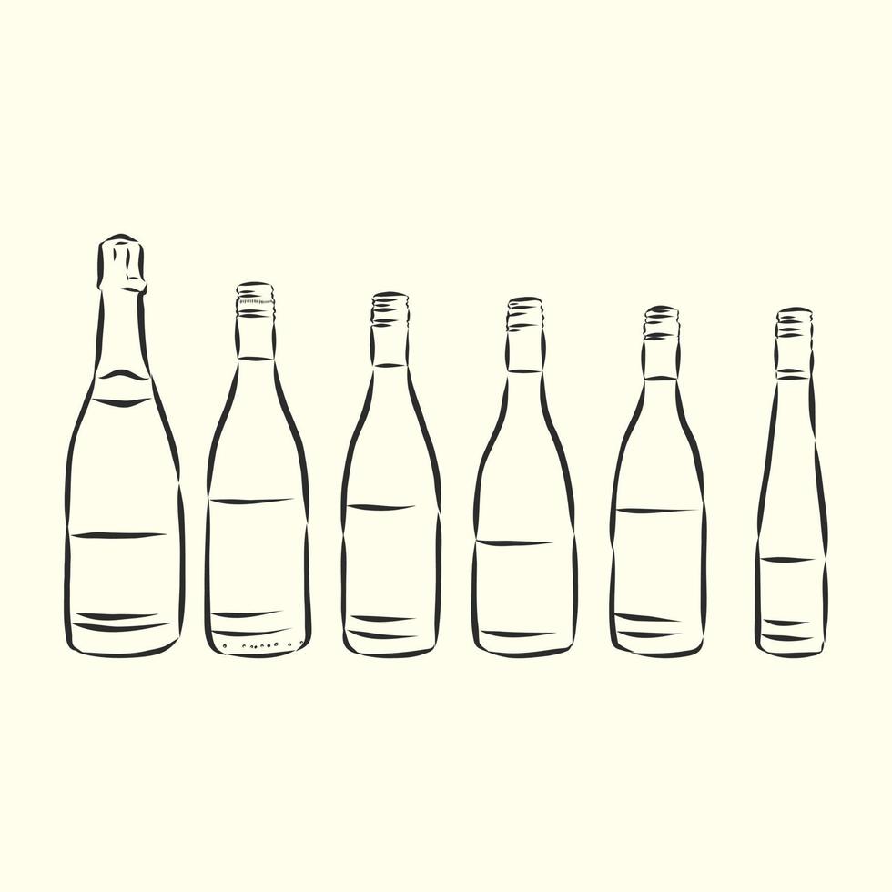 bottle vector sketch