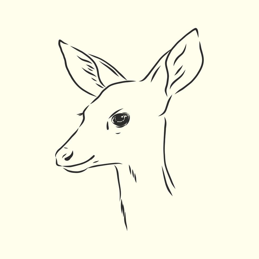 deer vector sketch