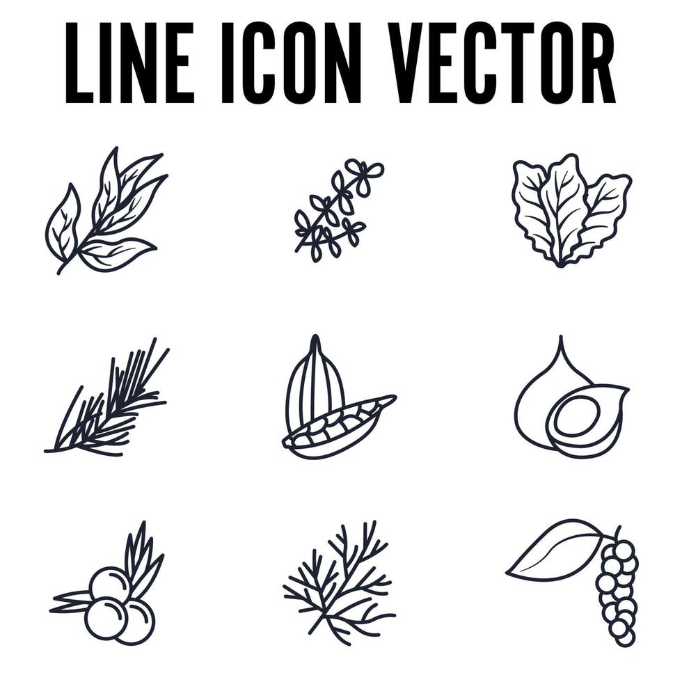 conjunto de elementos de especias, condimentos y hierbas plantilla de símbolo de icono para ilustración de vector de logotipo de colección de diseño gráfico y web