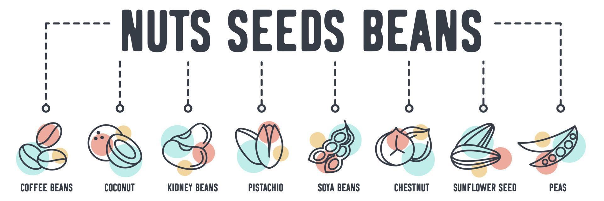 Nuts, seeds and beans banner web icon. coffee beans, coconut, kidney beans, pistachio, soya beans, chestnut, sunflower seed, peas vector illustration concept.