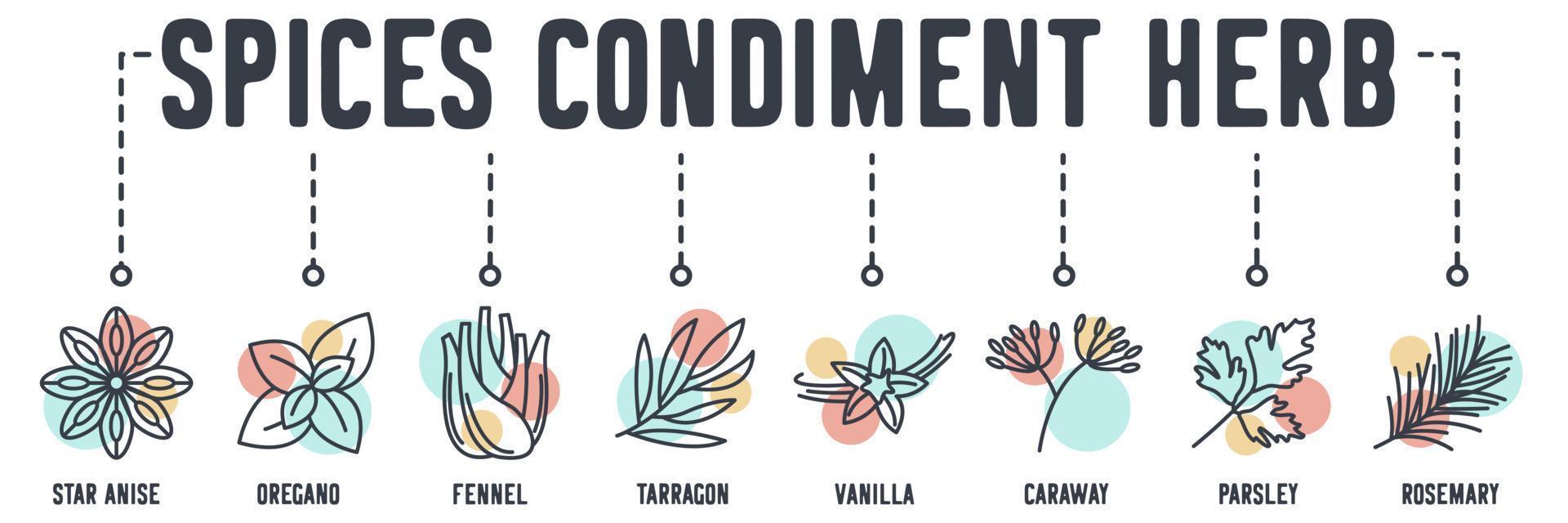 spices condiment herb banner web icon. star anise, oregano, fennel, tarragon, vanilla, caraway, parsley, rosemary vector illustration concept.