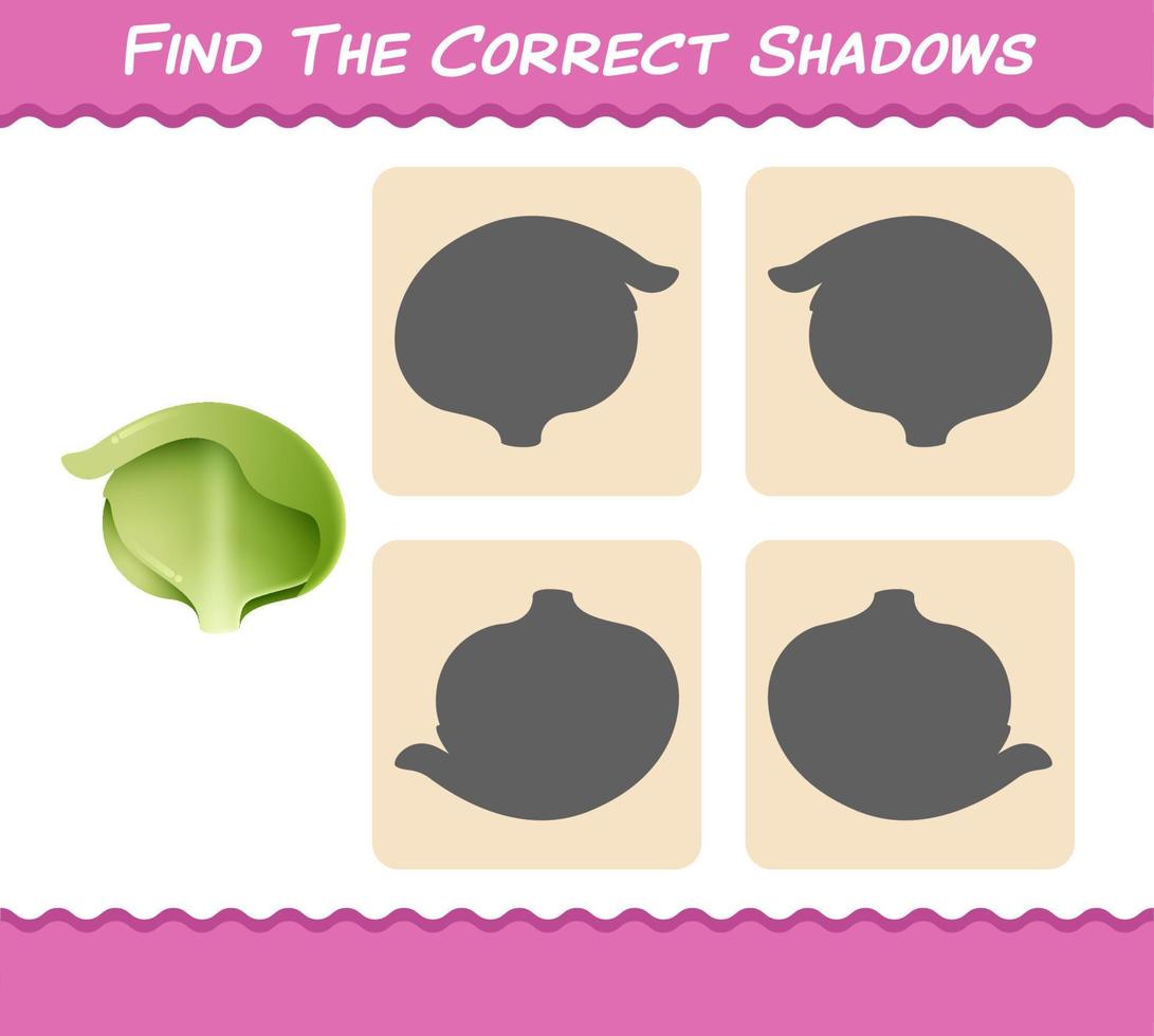 Find the correct shadows of cartoon iceberg lettuce. Searching and Matching game. Educational game for pre shool years kids and toddlers vector