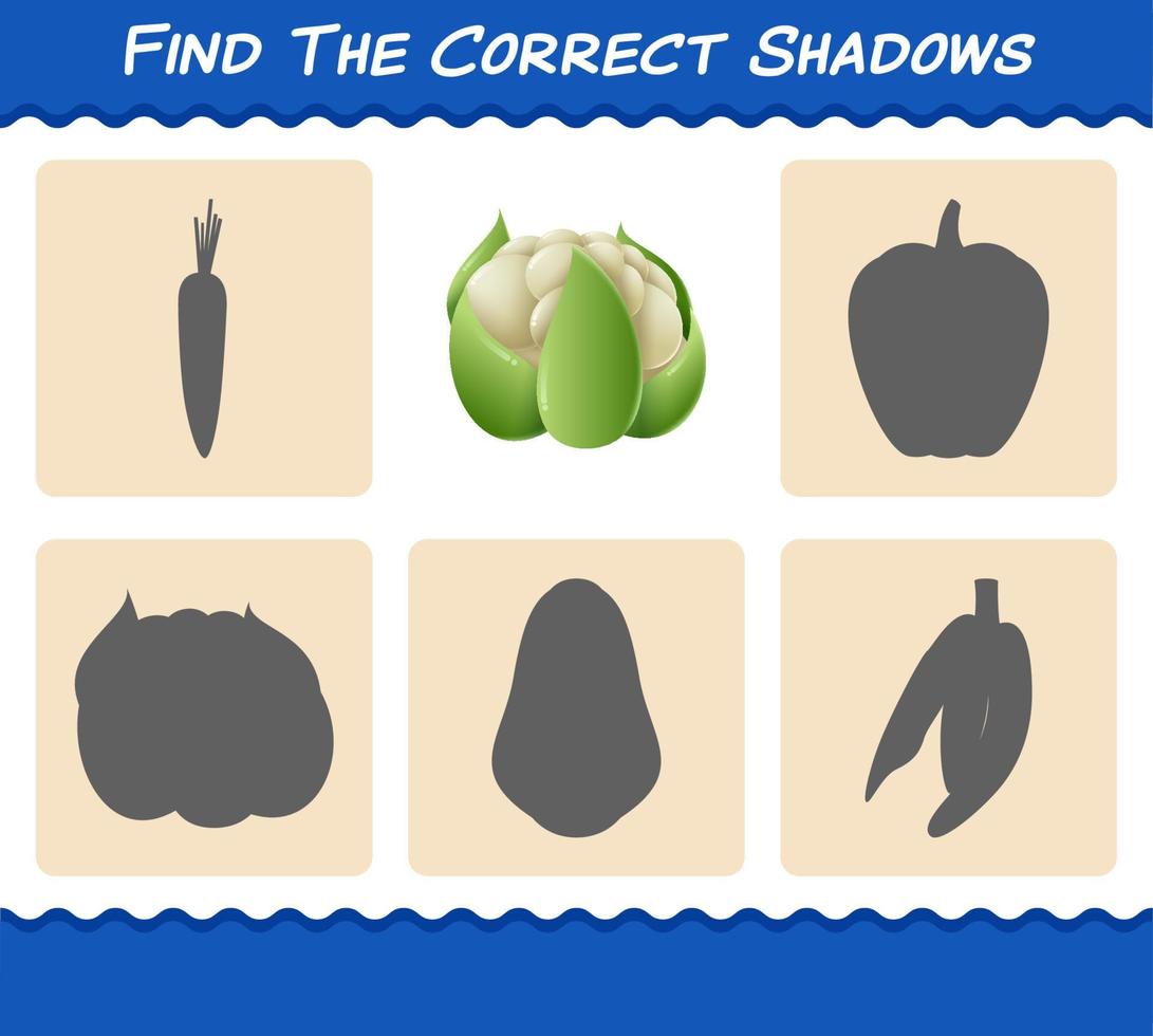 encuentra las sombras correctas de la coliflor de dibujos animados. juego de búsqueda y emparejamiento. juego educativo para niños de edad preescolar y niños pequeños vector