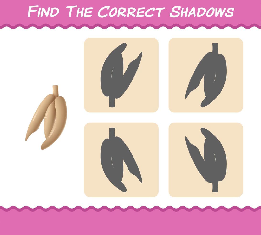 Find the correct shadows of cartoon cassava. Searching and Matching game. Educational game for pre shool years kids and toddlers vector