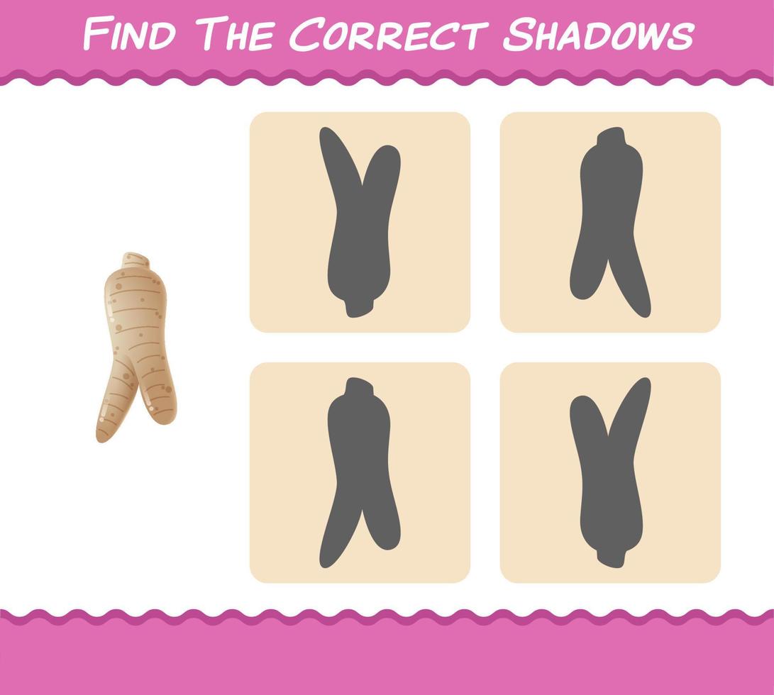 Find the correct shadows of cartoon ginseng. Searching and Matching game. Educational game for pre shool years kids and toddlers vector