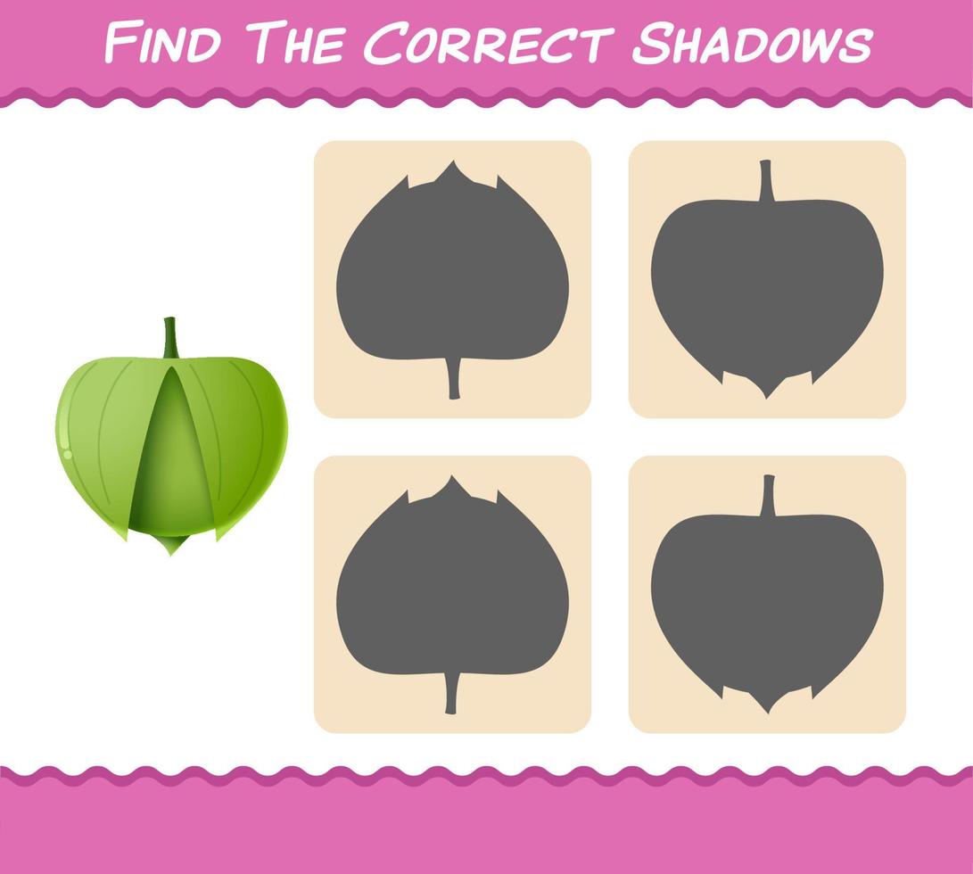 Find the correct shadows of cartoon tomatillo. Searching and Matching game. Educational game for pre shool years kids and toddlers vector