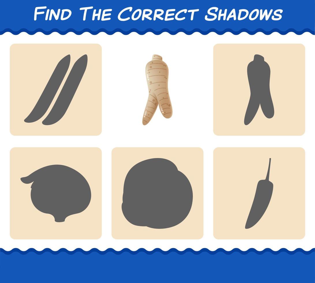 encuentra las sombras correctas del ginseng de dibujos animados. juego de búsqueda y combinación. juego educativo para niños y niños pequeños en edad preescolar vector