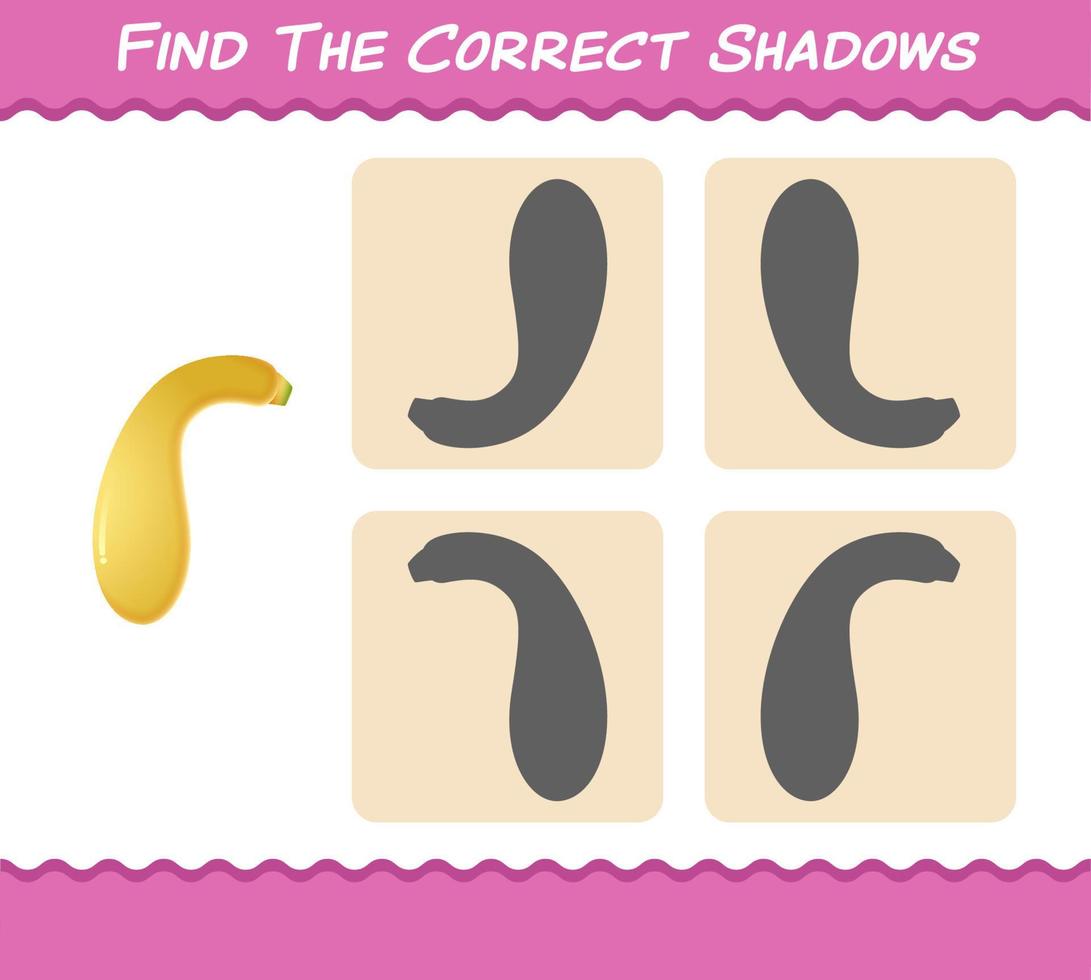 Find the correct shadows of cartoon crookneck squash. Searching and Matching game. Educational game for pre shool years kids and toddlers vector