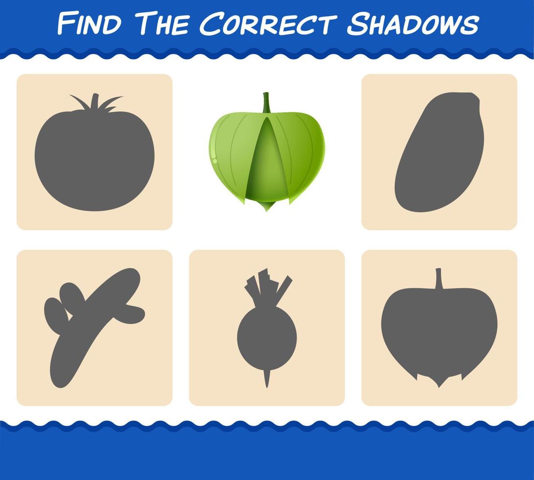 Find the correct shadows of cartoon tomatillo. Searching and Matching game. Educational game for pre shool years kids and toddlers vector