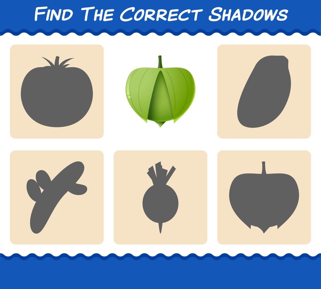 encuentra las sombras correctas del tomatillo de dibujos animados. juego de búsqueda y emparejamiento. juego educativo para niños de edad preescolar y niños pequeños vector