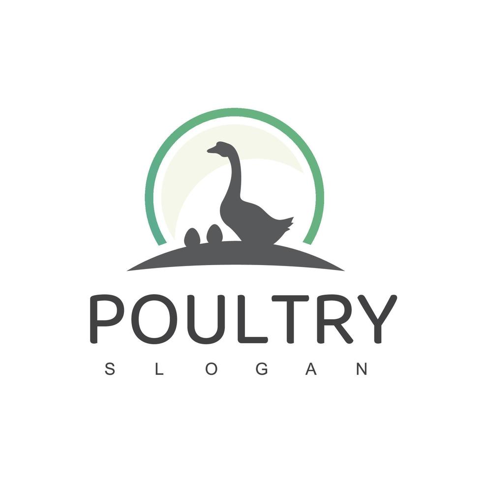 Poultry Logo, Animal Farm Company Icon vector