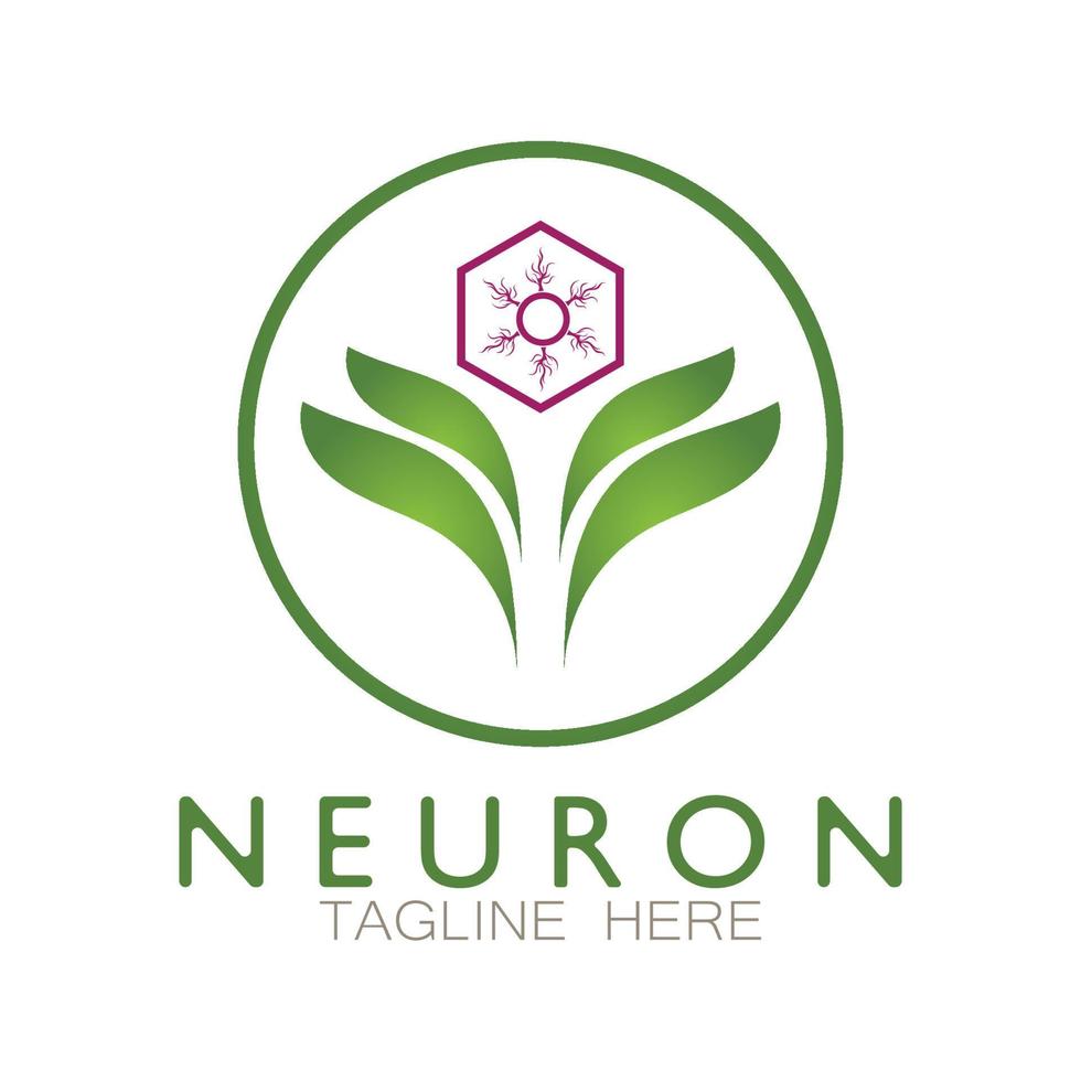 Neuron logo or nerve cell logo design,molecule logo illustration template icon with vector concept