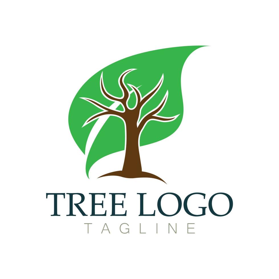 Tree logo icon vector illustration design.Vector silhouette of a tree templates of tree logo and roots  tree of life design illustration