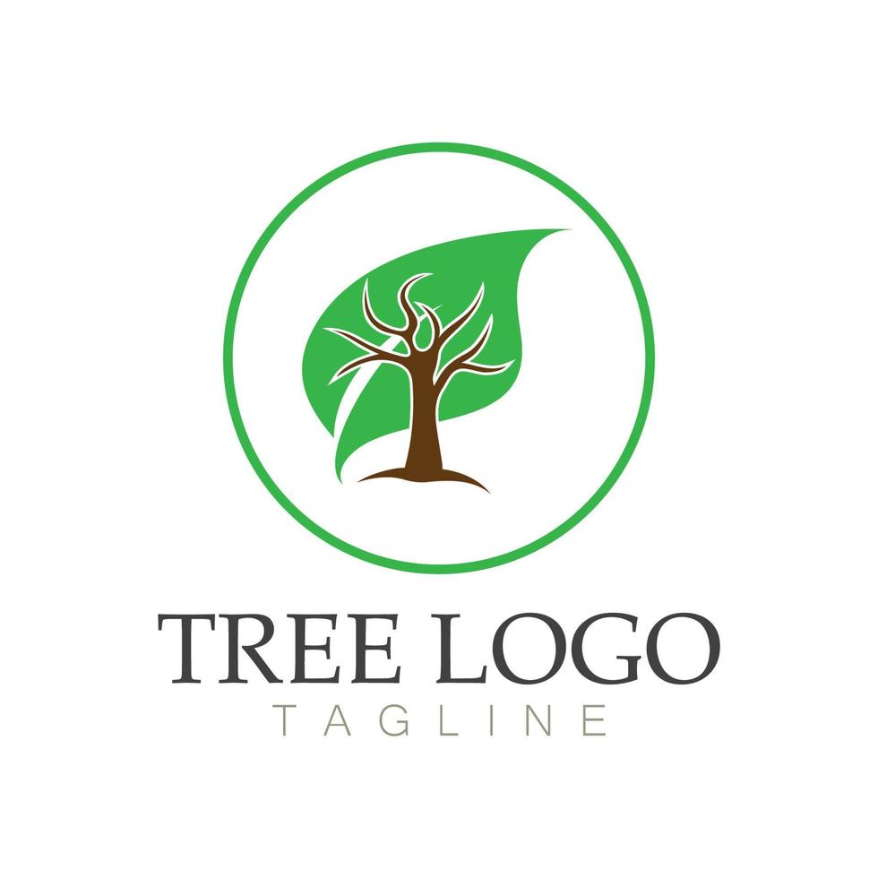 Tree logo icon vector illustration design.Vector silhouette of a tree templates of tree logo and roots  tree of life design illustration