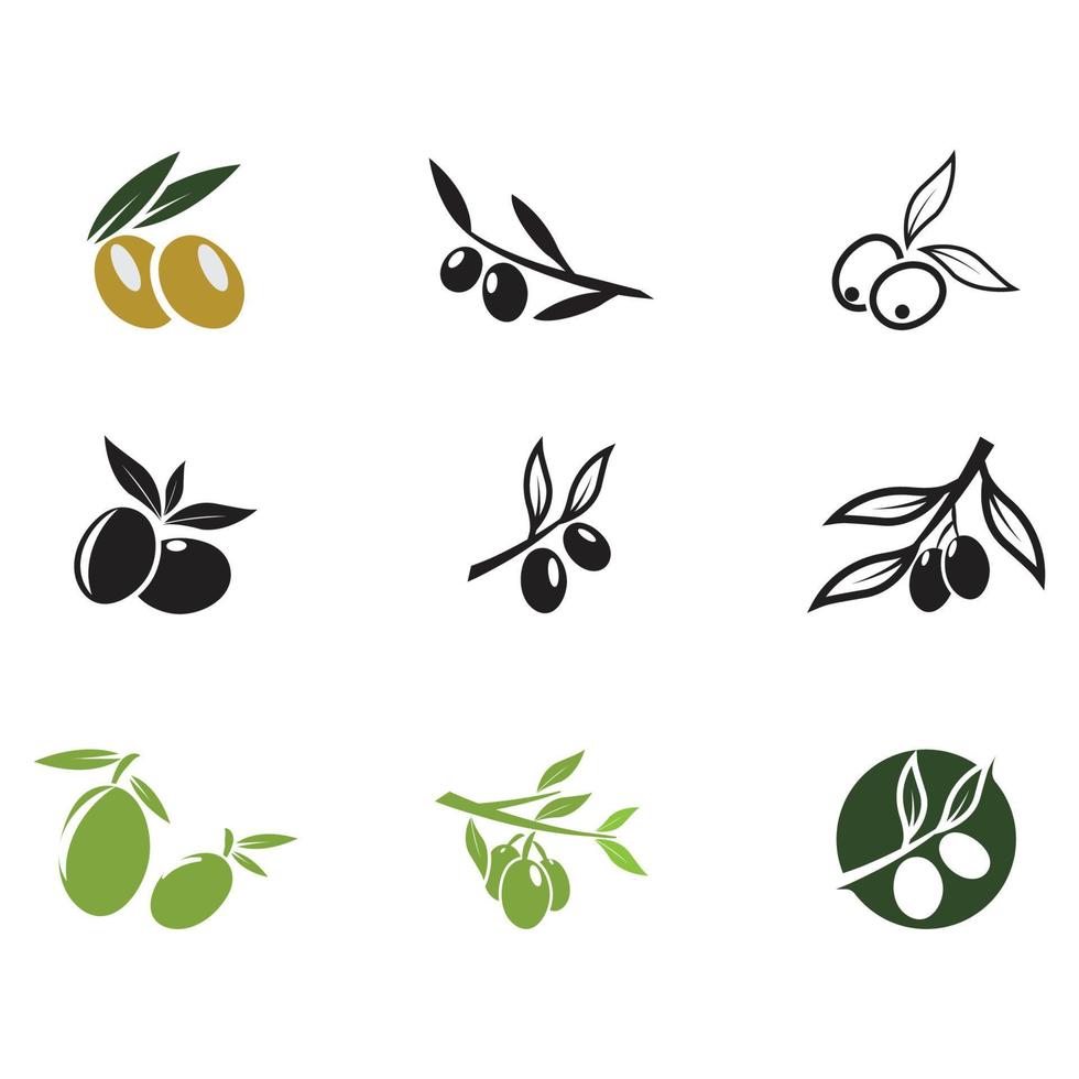 olive icon vector illustration design template