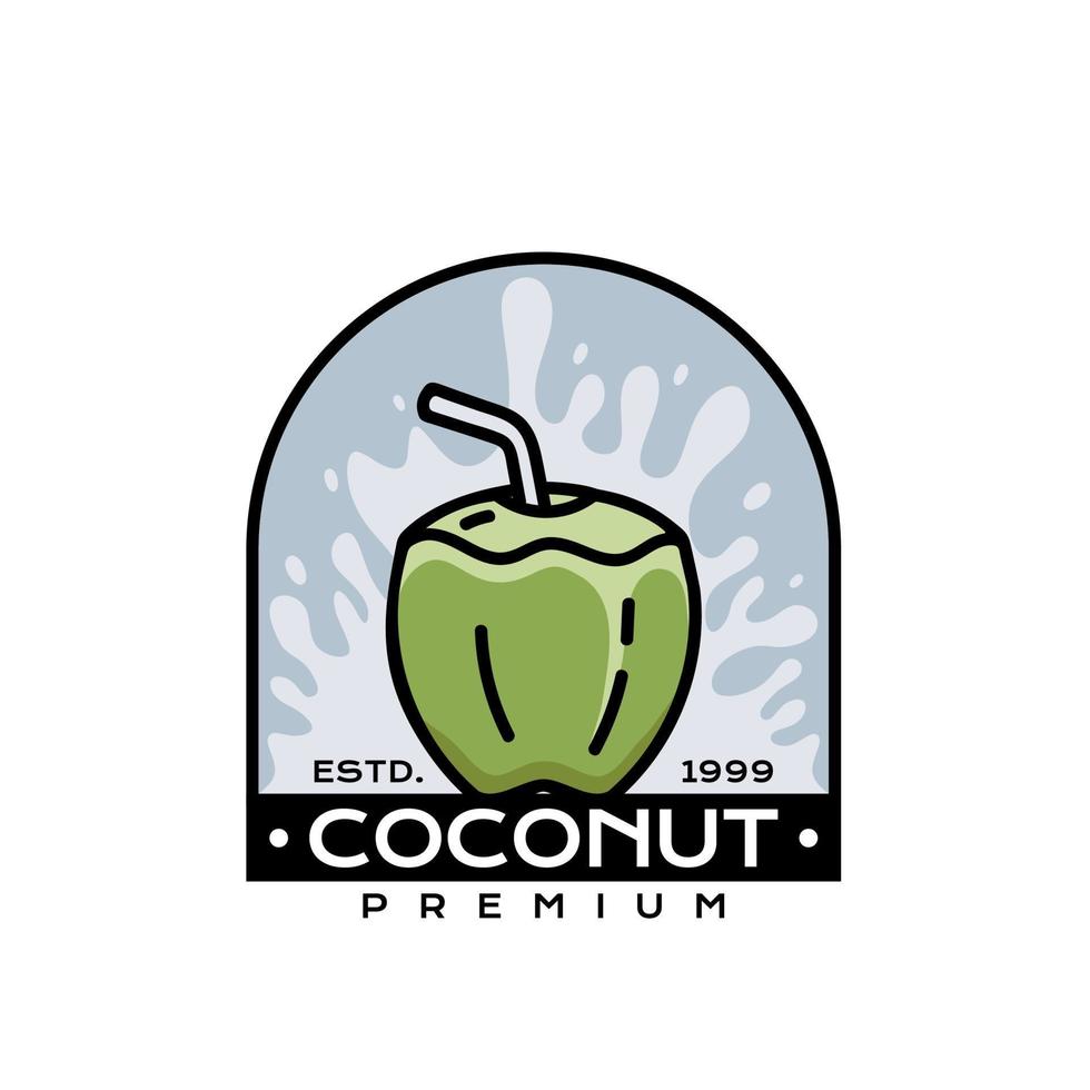 Coconut Icon Logo Splash vector