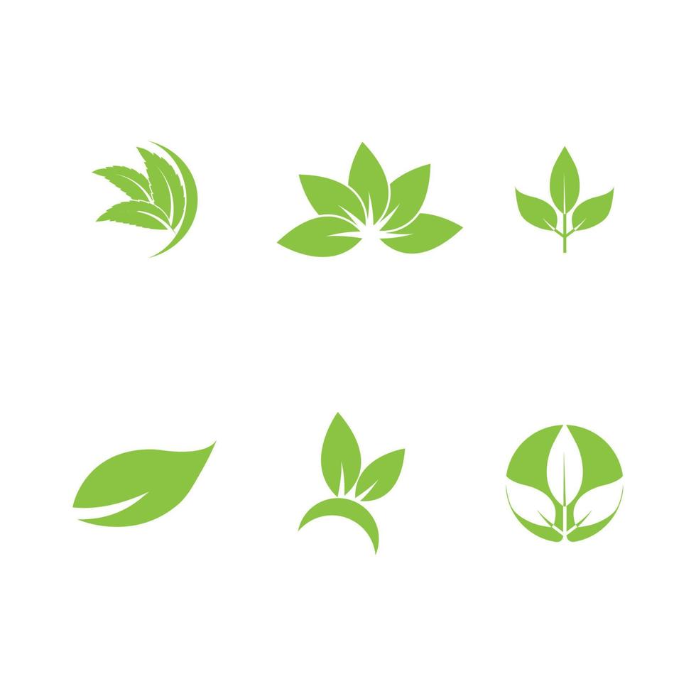 logotipos de vector de elemento de naturaleza de ecología de hoja de árbol verde