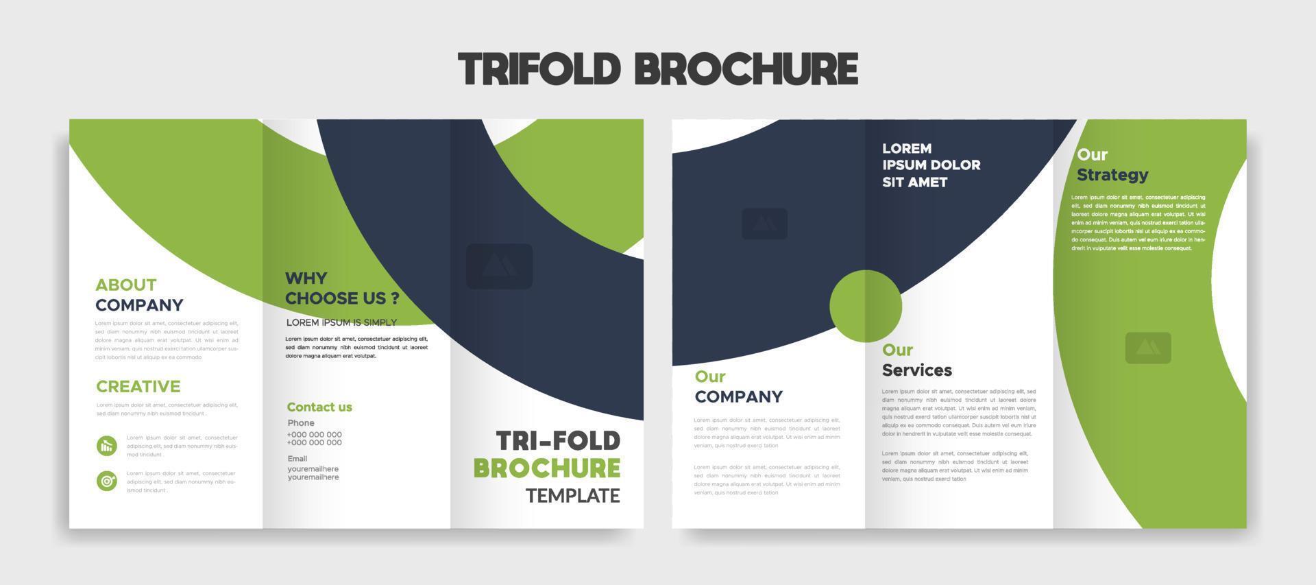 business trifold brochure template vector