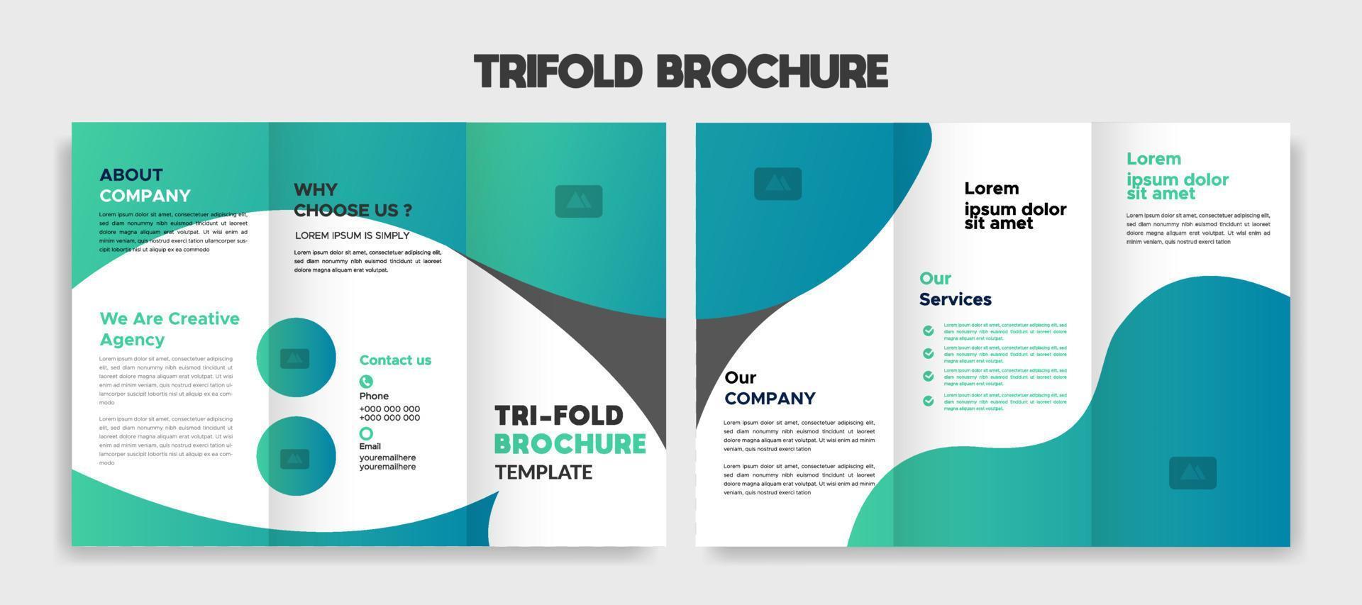 business trifold brochure template vector