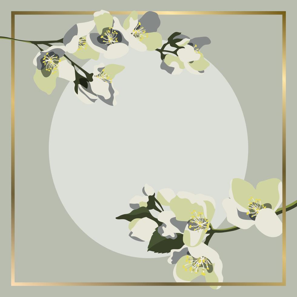 Vector square background with blooming jasmine branches and golden frame