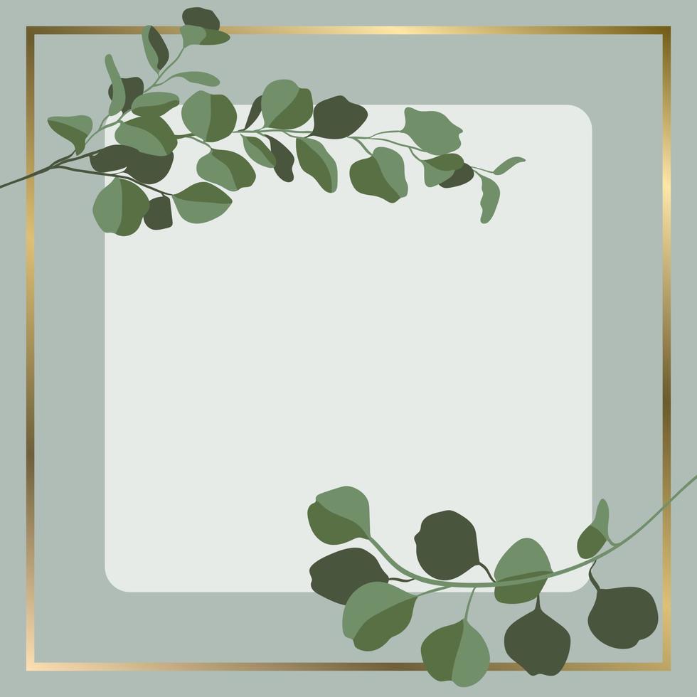 Vector square background with eucalyptus branches and golden frame