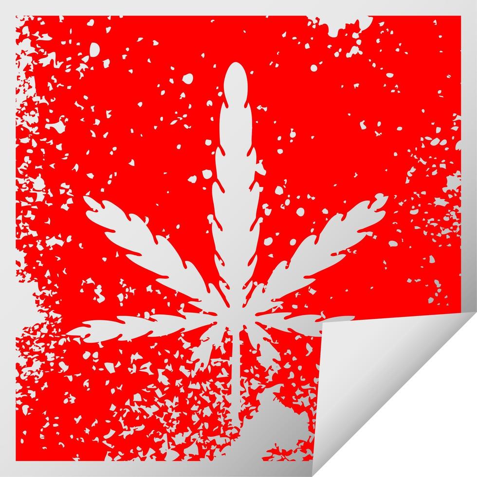 quirky distressed square peeling sticker symbol marijuana vector