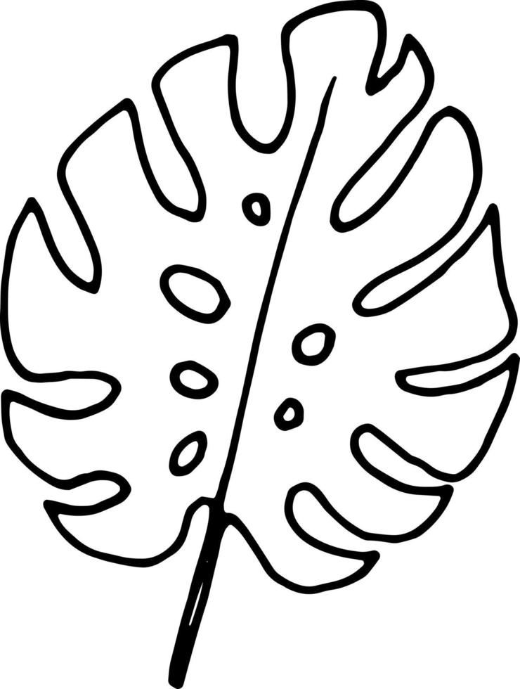 Doodle hand drawn outline leaf monstera vector