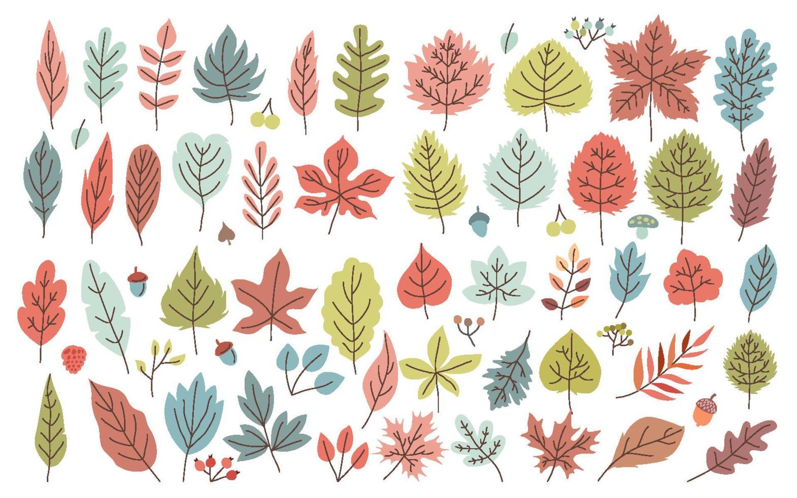 conjunto dibujado a mano de hojas de otoño elementos iconos objetos, ilustración vectorial con coloridos robles, nogales, arces, álamos, abedules, hayas y dogwood leavesa vector