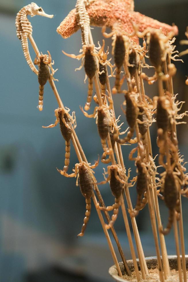 cerca de brochetas con escorpiones y caballitos de mar. Beijing, foto