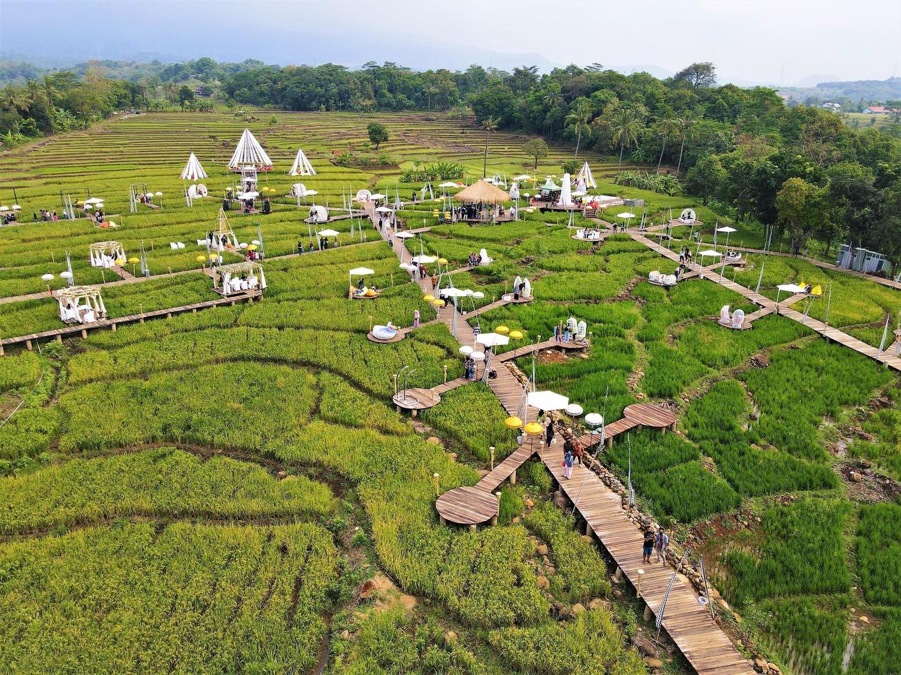Beautiful aerial view- Mountain agricultural tourism, in West Java-Indonesia photo