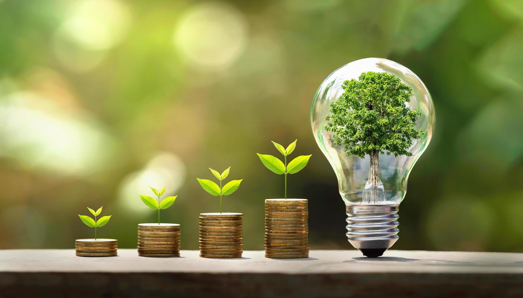 tree growing on coins and light bulb. concept saving money with energy photo