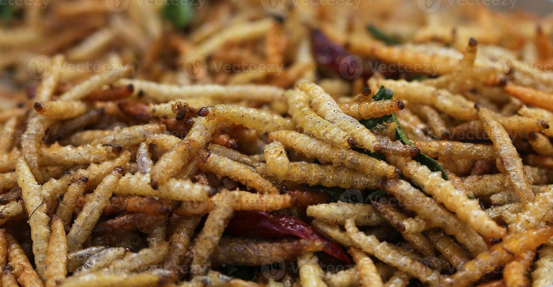 Bamboo worm fried, fried insects are a high protein foods photo