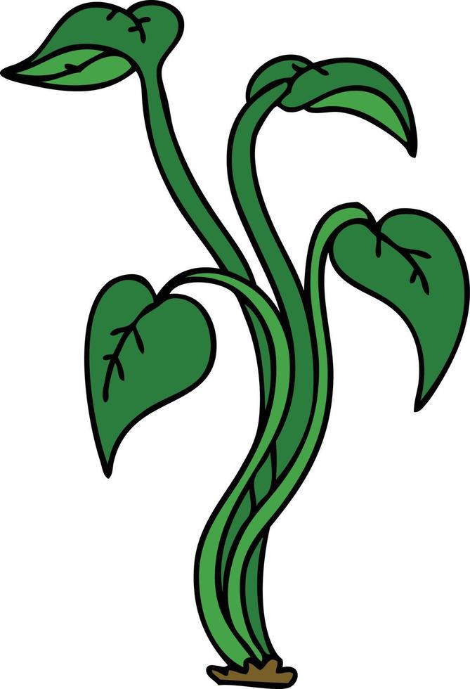 quirky hand drawn cartoon plant vector