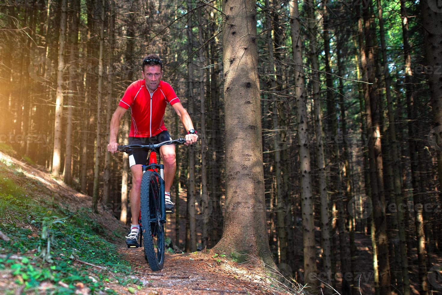 In the woods during a mountain bike excursion photo