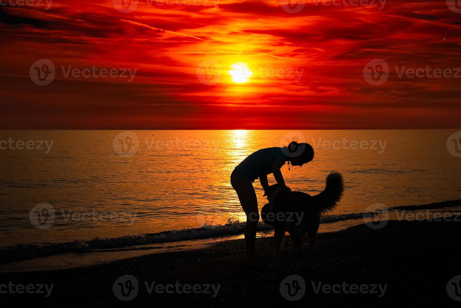 Girl with dog on the beach photo
