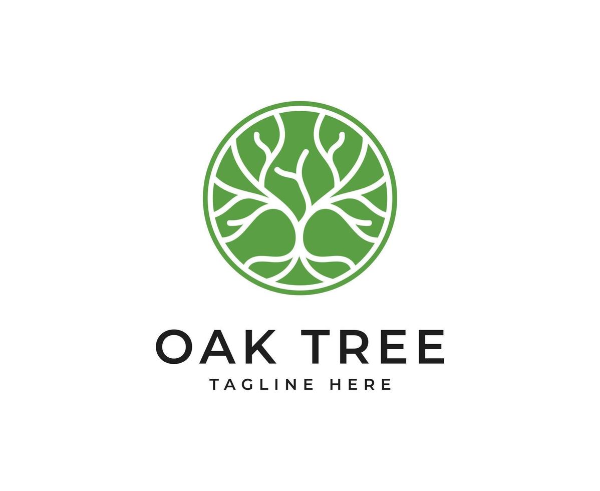 oak Tree vector icon. Nature trees vector illustration logo design