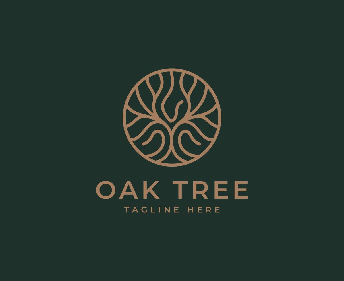 oak Tree vector icon. Nature trees vector illustration logo design