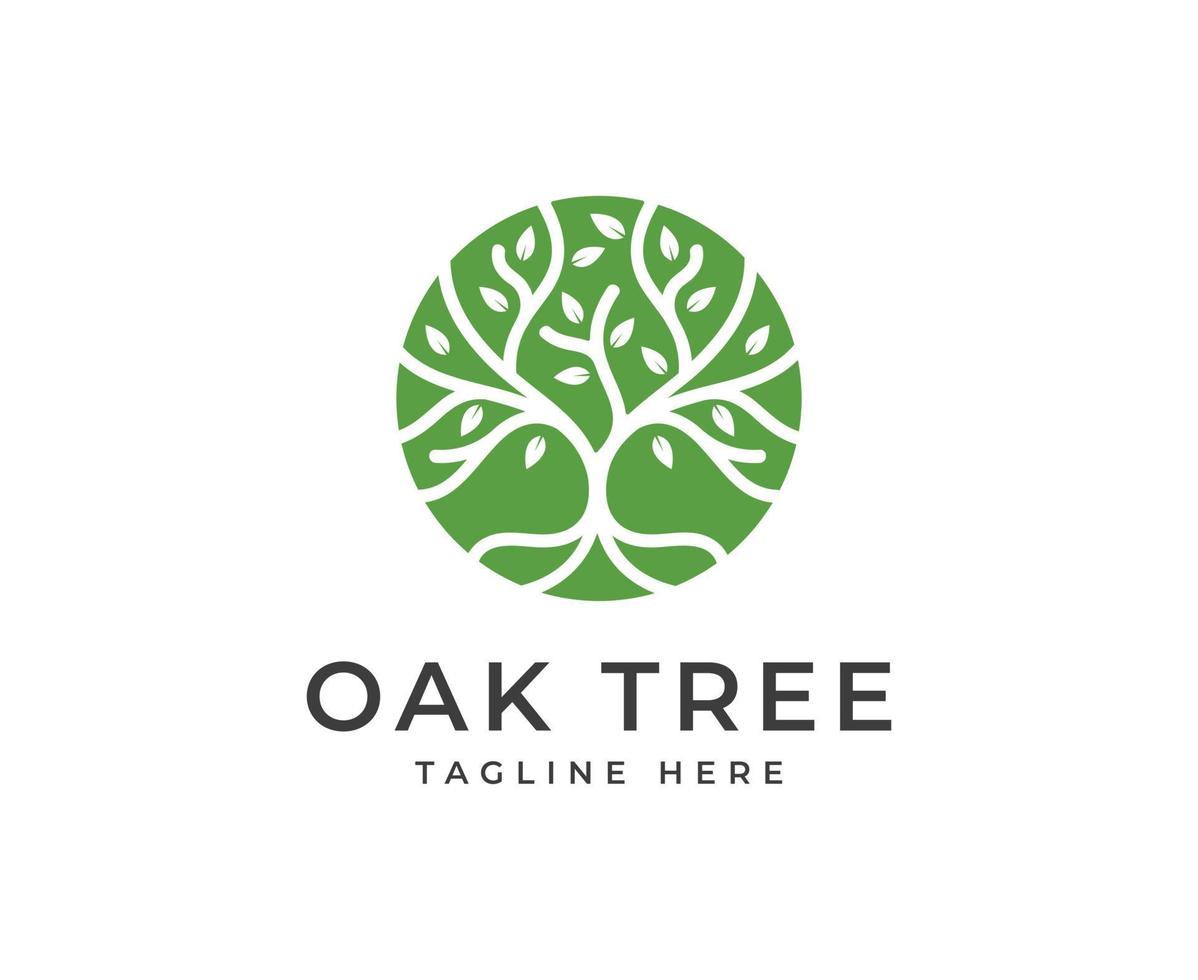 oak Tree vector icon. Nature trees vector illustration logo design