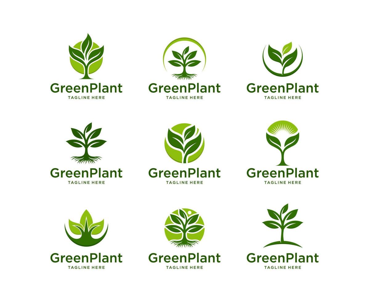 Set of Green Leaf Logo design Vector. green plant logo, green leaf seedling, growing plant vector