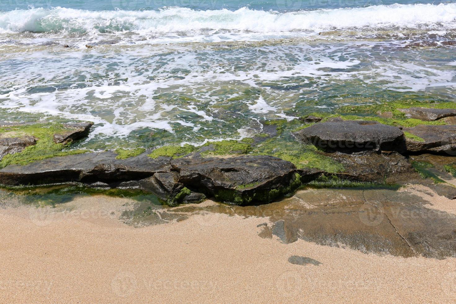 rocky shore of the Mediterranean Sea in northern Israel photo