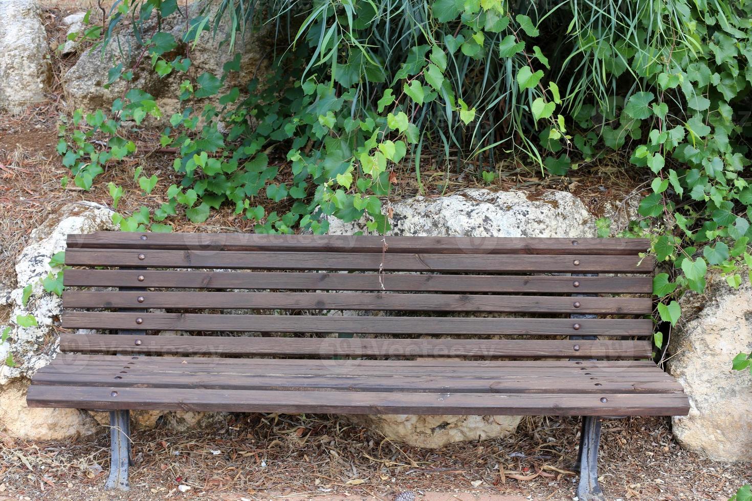 Bench for rest in a city park on the shores of the Mediterranean Sea. photo