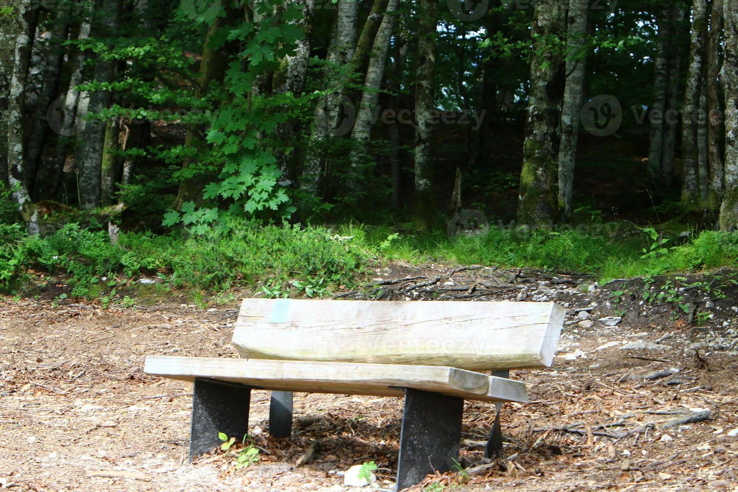 banco para descansar en un parque de la ciudad a orillas del mar mediterráneo. foto