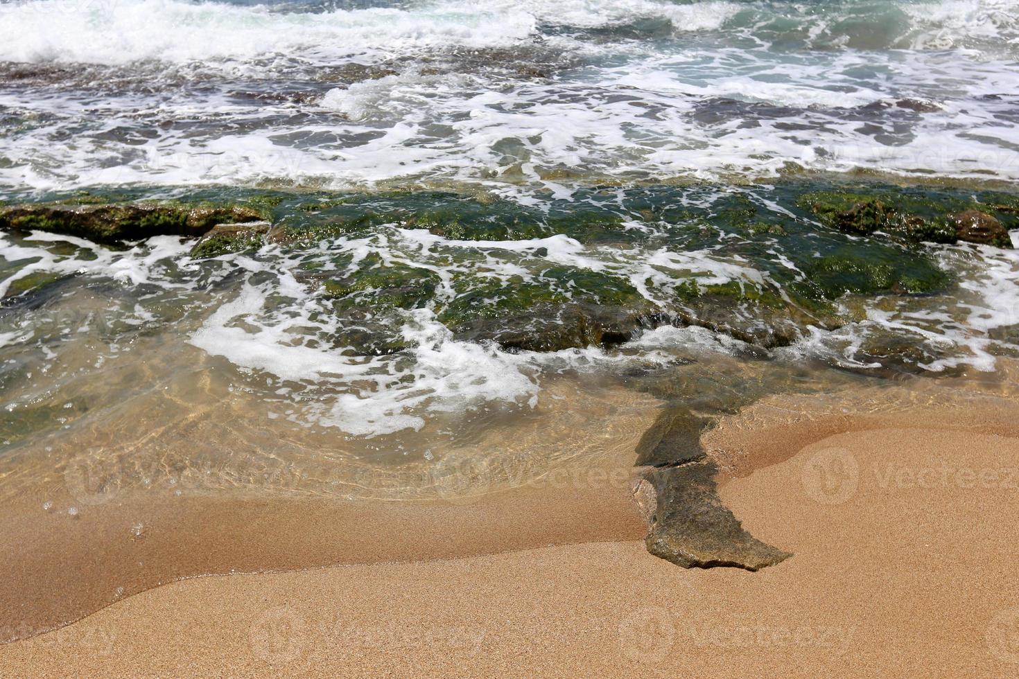 rocky shore of the Mediterranean Sea in northern Israel photo