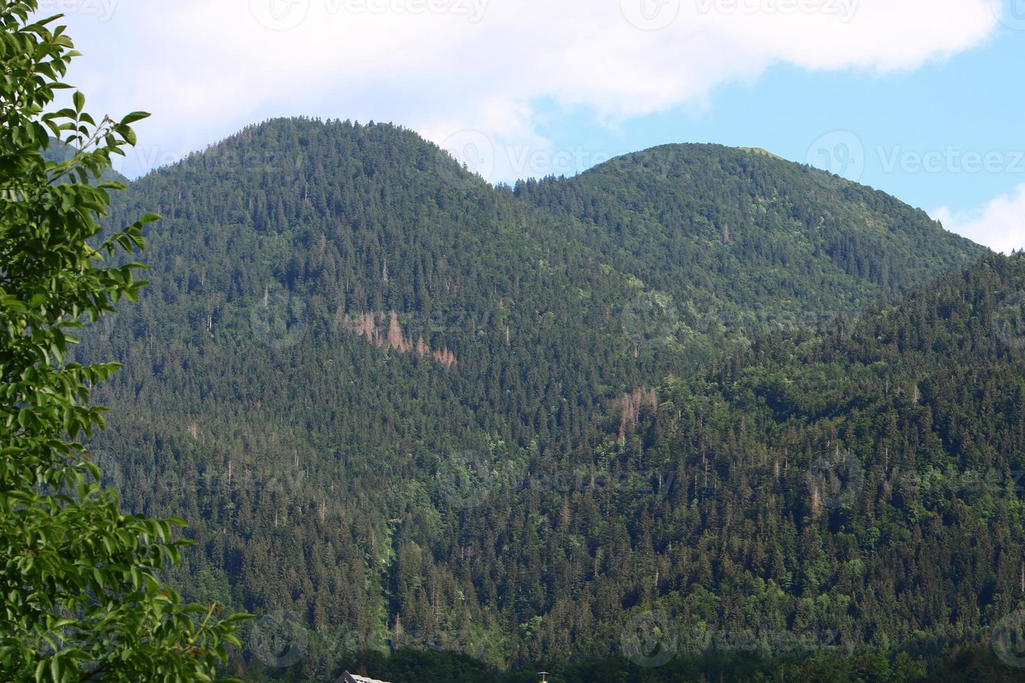 The Alps are a tall and long mountain range in Europe photo