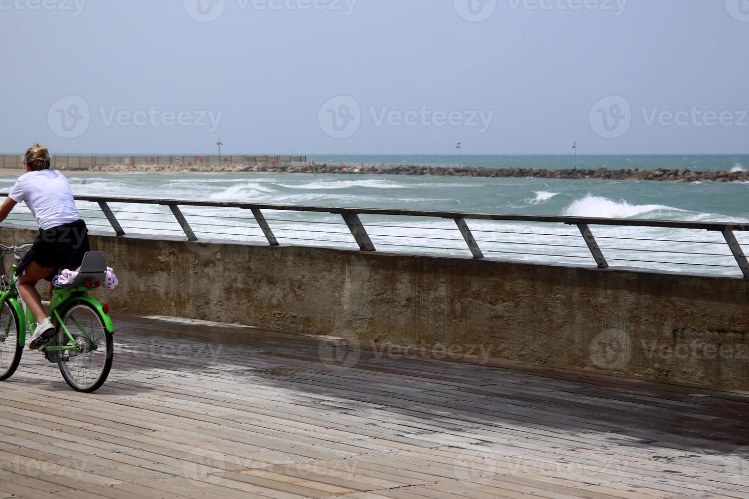 Fence in a city park on the Mediterranean Sea in Israel photo